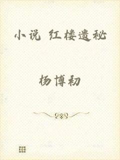 小说 红楼遗秘
